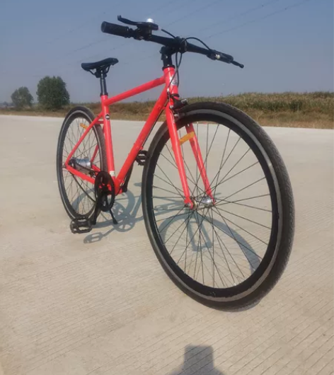 永久平把公路自行车,轻便自行车 落地大半年...