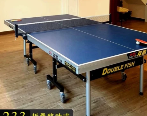 库房搬迁特价出双鱼乒乓球桌,还有其他品牌的...