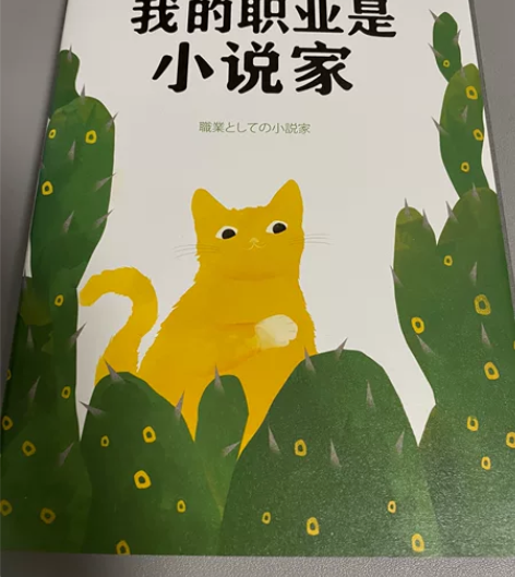 六本书,小说和社科、随笔,纪实,我的职业是...