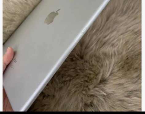 9成新【热销】Apple/苹果 2019新...