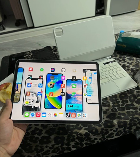 自用iPad Pro 21款 11寸 25...