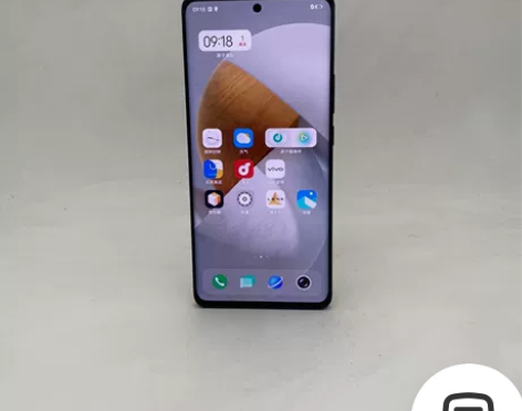 vivo vivo X60 Pro(5G)...