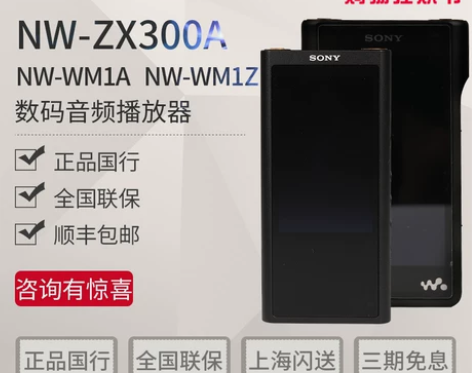 Sony/索尼 NW-ZX300A 无损音...