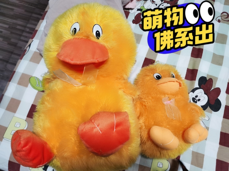 闲置玩偶转让,家中空间有限,出闲置物品