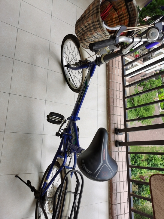 全新未落地20寸折叠自行车,蓝色,送u型锁...