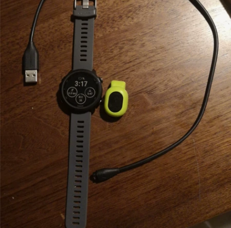 Garmin/佳明 forrunner24...