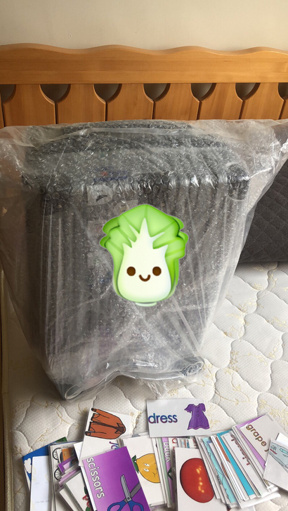 20寸全新拉杆箱，万用轮，80不包邮