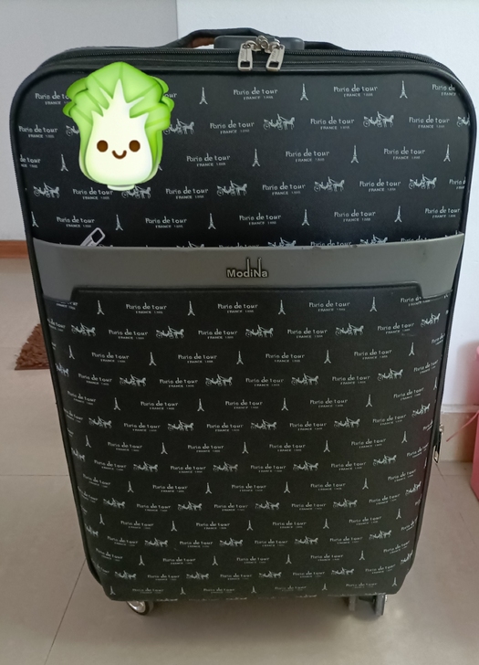 24寸黑色万向轮旅行箱
