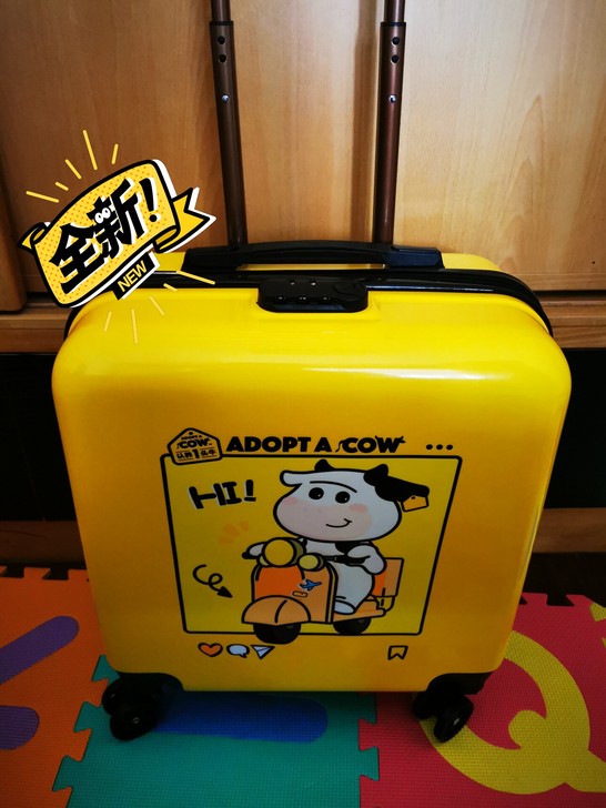 可爱拉杆箱,全新,可以登机用,很轻,家里箱...