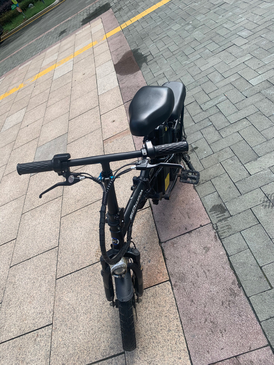 新日电瓶车,只骑了两个月,想做代驾又不想做...