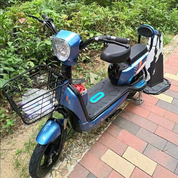 全新亏本卖新款电动车成人48V电瓶车小型双...