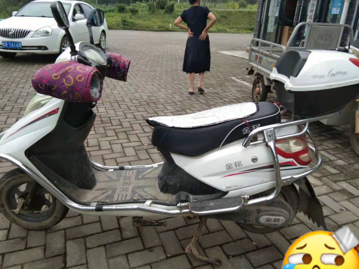 本人准备国庆边要去外地 有一台闲置台铃电...
