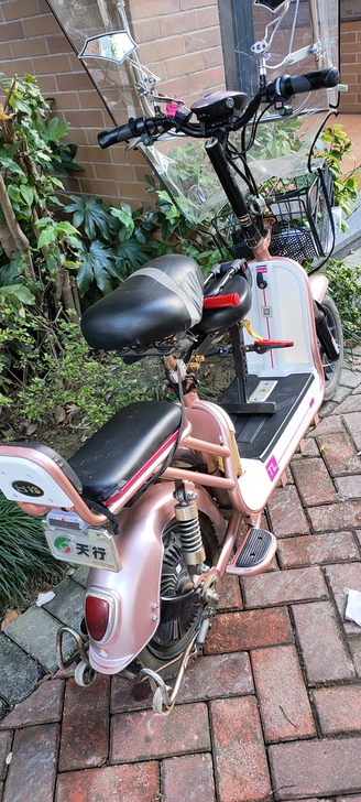 有人知道这种台铃电动车型号吗