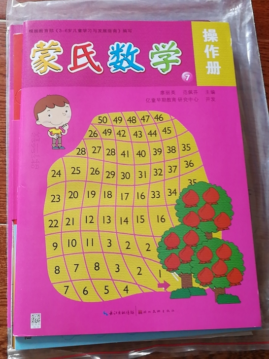 蒙氏数学。亿童早教。我买了全套，效果特别好...