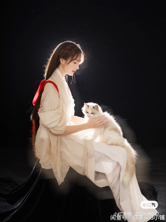 飘逸出租/玉龙赋魏晋神明少女汉服