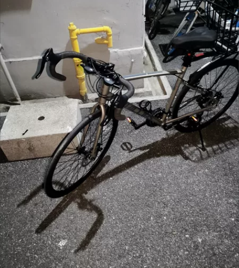 上个月新买的菲利普27速公路自行车 骑了两...