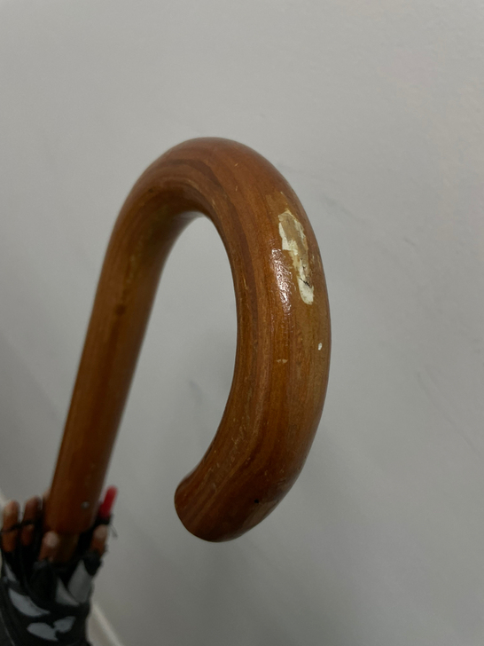 xq闲情版伞 黑龙长柄伞