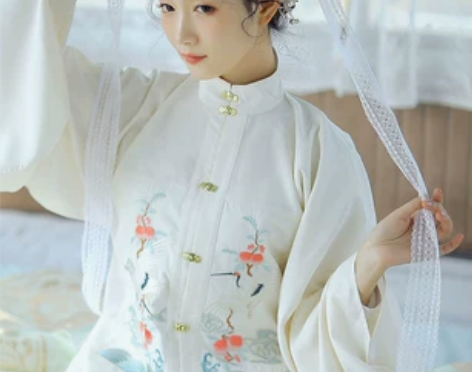 兰若庭 汉服 望水云鹤 明制 立领 补服 ...