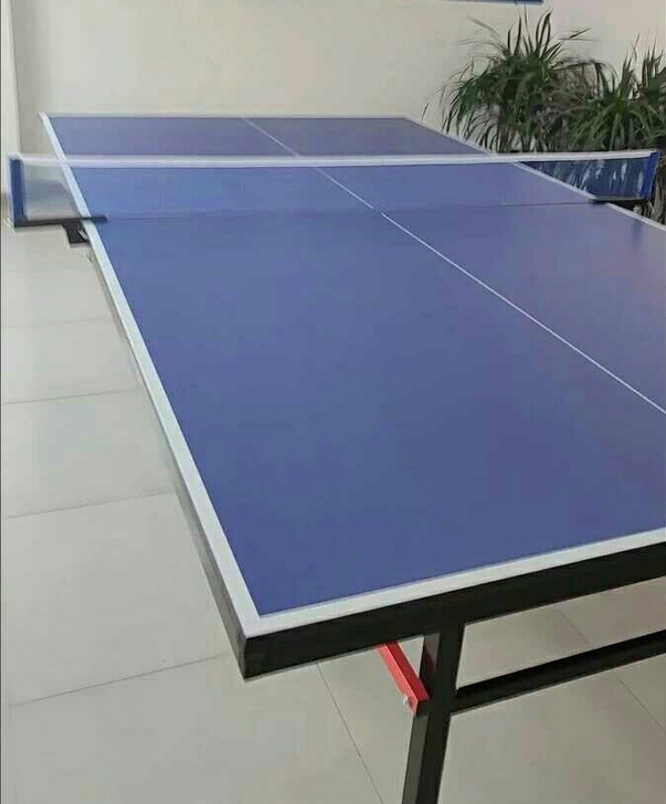公司福利多采购一批乒乓球桌球台家用室内球案...