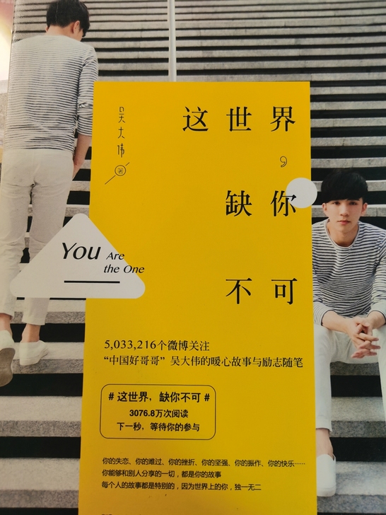 图书课外书经典小说言情青春文学外国文学 ...