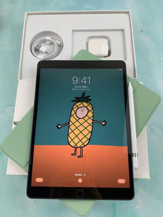 苹果iPad2019, iPad 7,32...