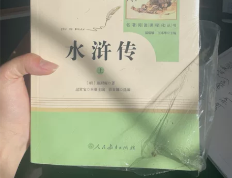 名著阅读课程 九年级上 水浒传上下册 淘宝...