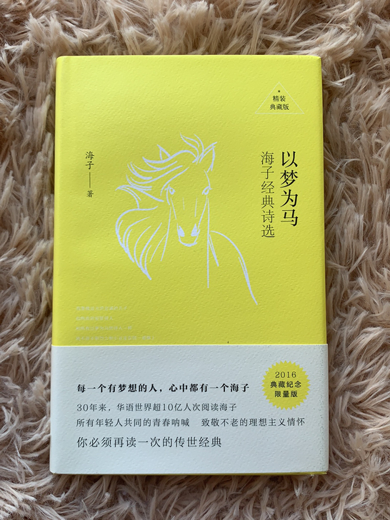 海子的诗 以梦为马