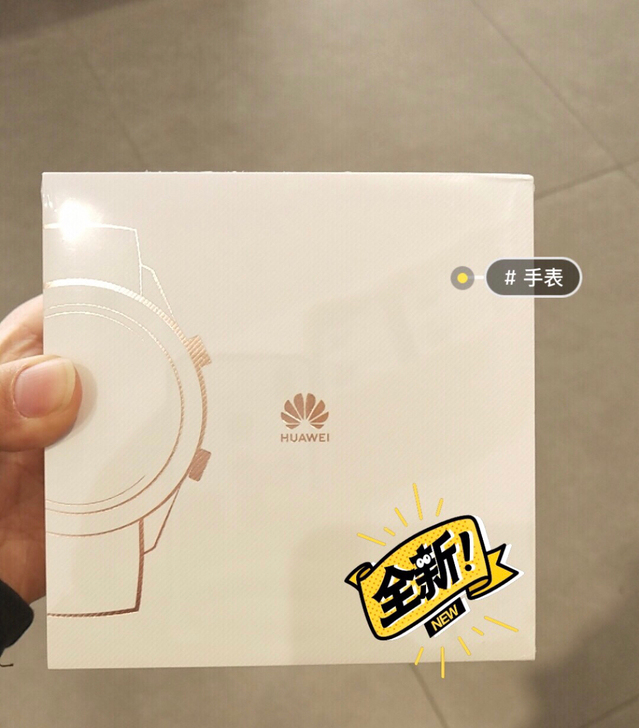 华为 HUAWEI WATCH GT ...