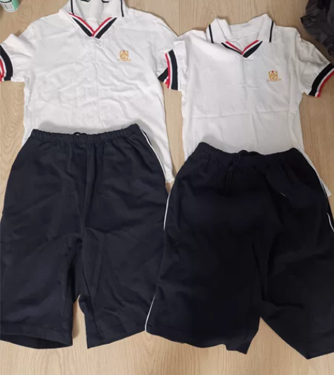 学生校服女升旗仪式全新枫叶夏季校服初高中6...