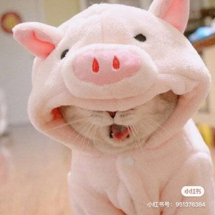 高数！线代答疑辅导！
