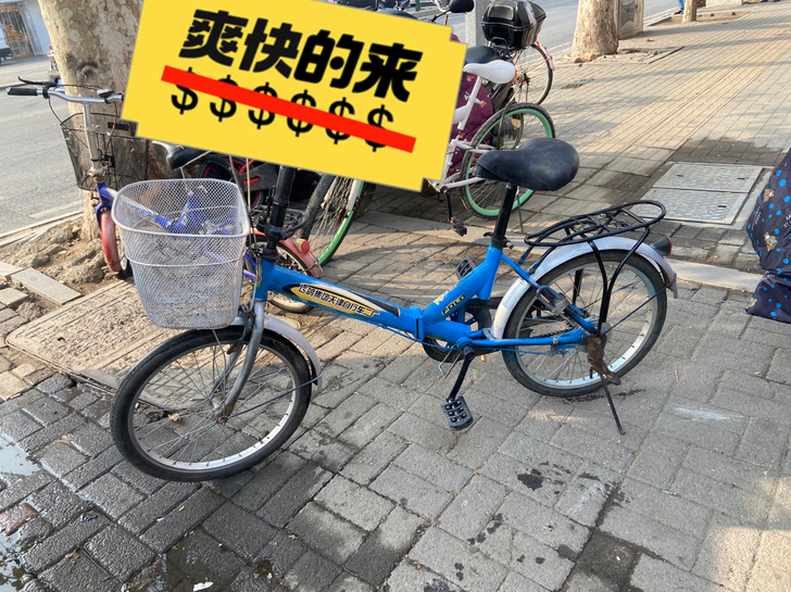 品牌型号 飞鸽
