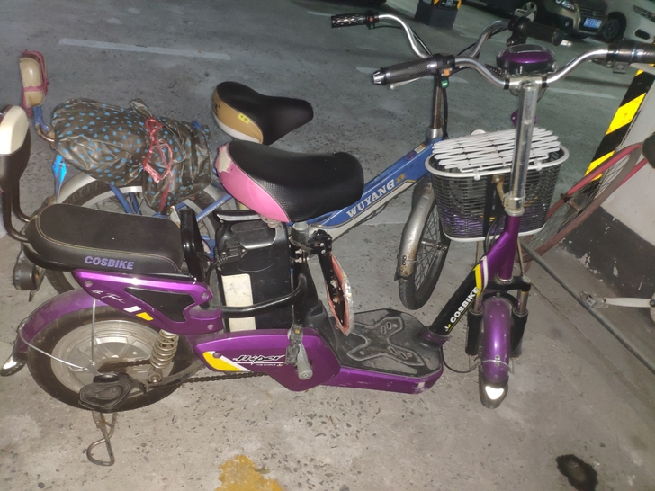闲置电动车555元,带电池防盗器,其他没有...