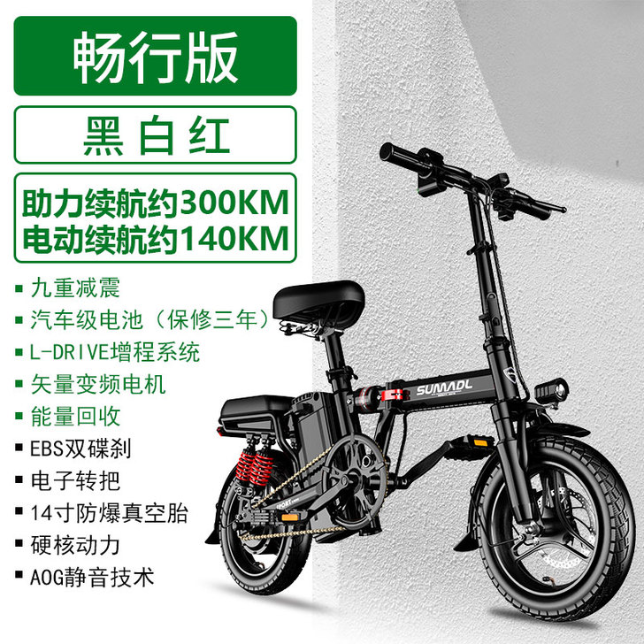 只卖徐州本地 德国名顶折叠电动自行车锂电池...