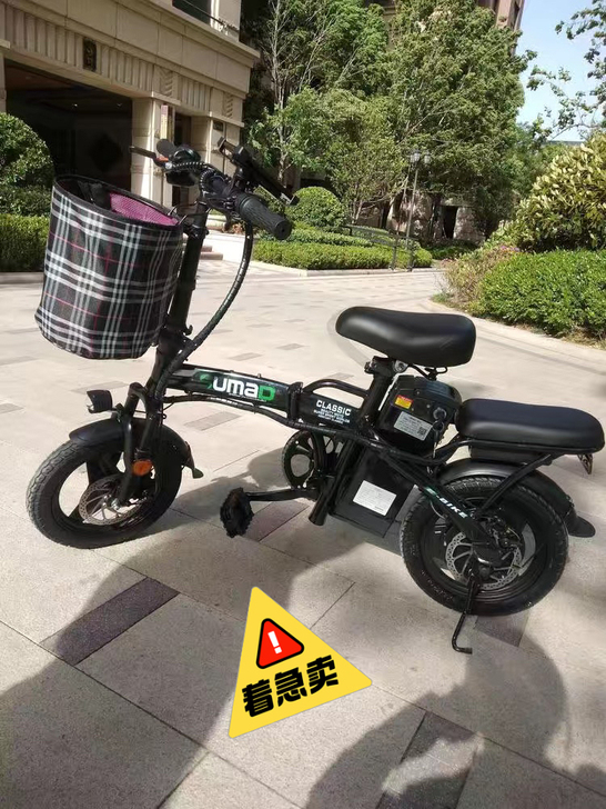 全新德国名顶电动车成人代驾小型电瓶车折叠电...