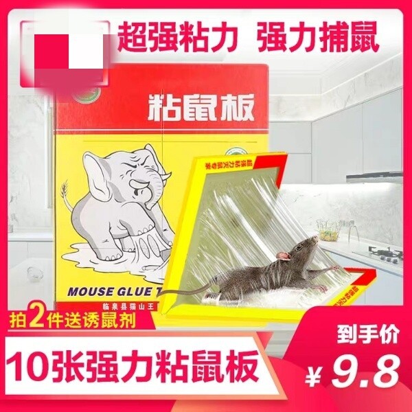 强力老鼠贴 粘鼠贴 10张9.8元包邮