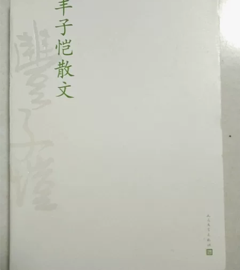 丰子恺散文珍藏版30包邮 感兴趣的话点“我...