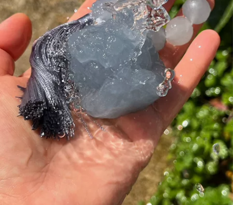 超爆闪天青冻醒狮,卡42左右,全品无瑕,未...