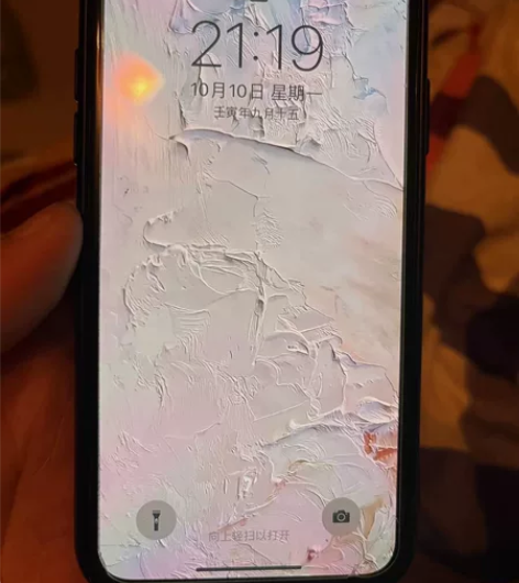 自用iphoneX，原装到每颗螺丝，无拆无...