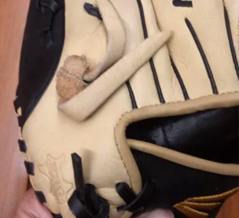 美国进口Easton Natural El...