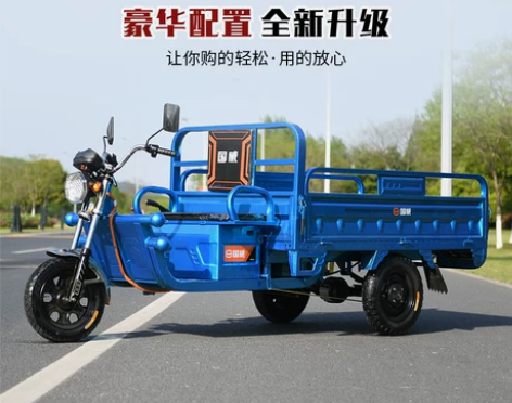 电动车 国威品牌电动三轮车货车载重王成人拉...