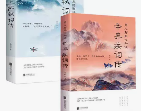 苏轼词传辛弃疾词传诗词歌赋书人物诗词传记古...