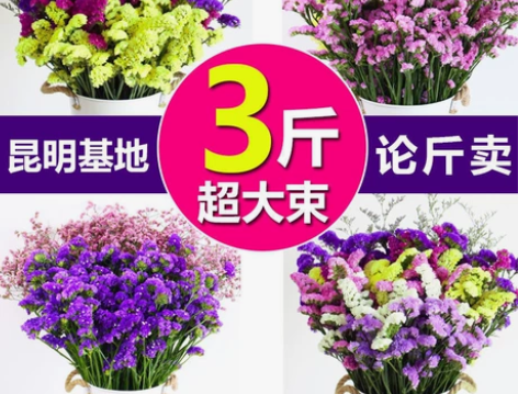 11.8元抢2斤勿忘我云南非满天星干花花束...