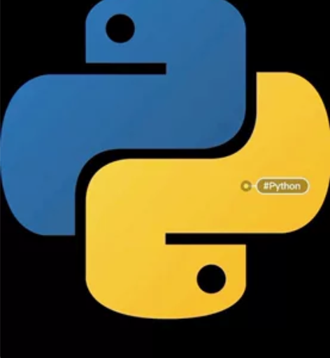 Python 编程,带写代码,代码解疑 计...