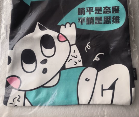 得物不莱玫的帆布袋购物袋，全新，30包邮出...