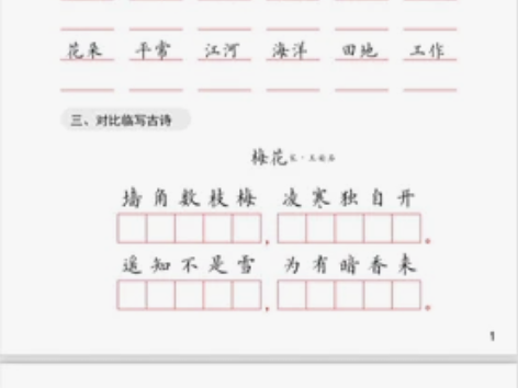 小学硬笔书法楷书考试卷面书写提分练习电子素...