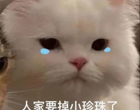 科幻贴 列表都可换，jk退坑啦 不换jk及...