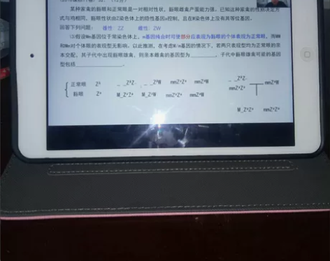 急出!急出!厂家最后几台!二手苹果Appl...