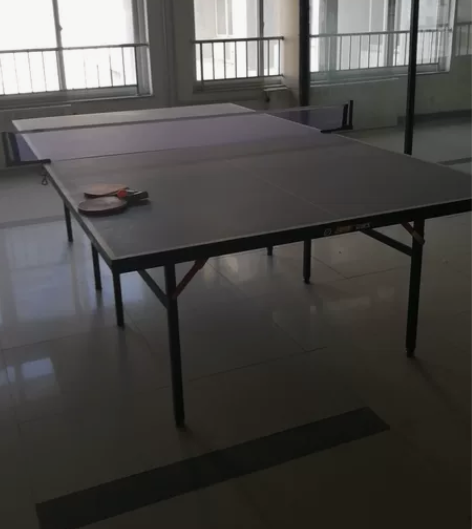 (谢绝讲价)红双喜乒乓球桌 可折叠乒乓球台...