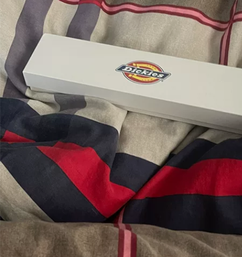 Dickies 手表学生运动果冻手表礼物正...