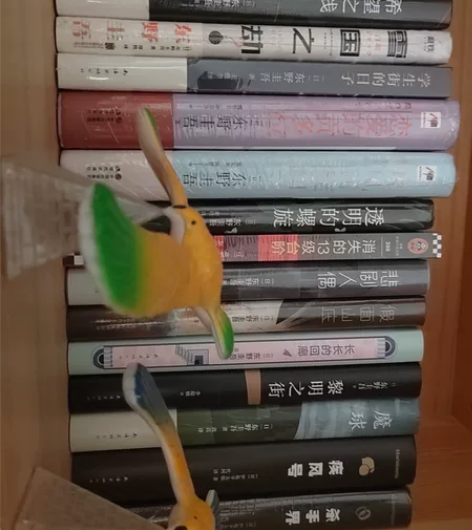出东野圭吾小说精装硬壳 书籍日本侦探小说 ...